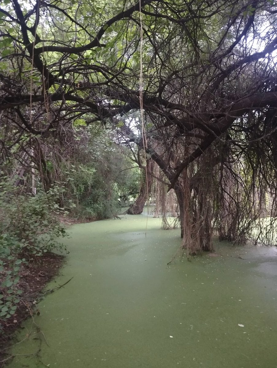 Eduardo Quintana tweet media