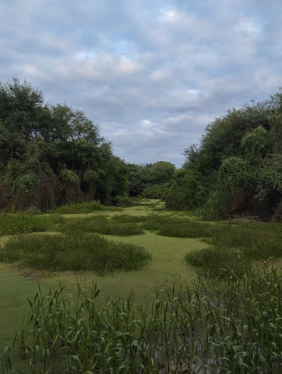 Eduardo Quintana tweet media