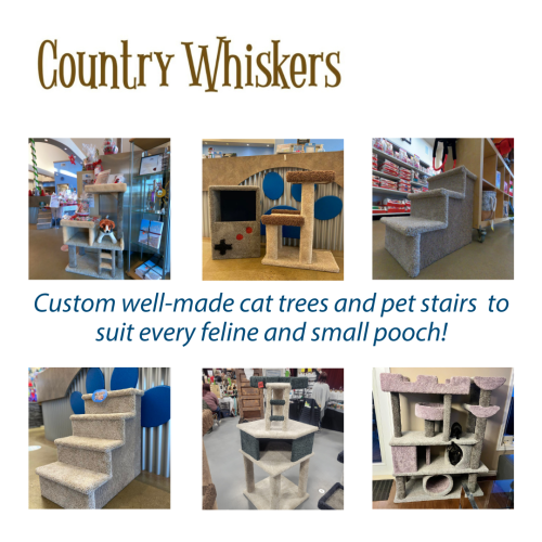 cahumanesociety's tweet photo. Did you know that we carry cat furniture and pet stairs from the amazing Country Whiskers Cat Furniture?
🐕30% of proceeds will stay with #CAHumane!
🐈With each cat scratcher you buy, another one is donated to our shelter animals!
Learn more here: https://t.co/gL5FMzSyti https://t.co/JxXAVRpiVm