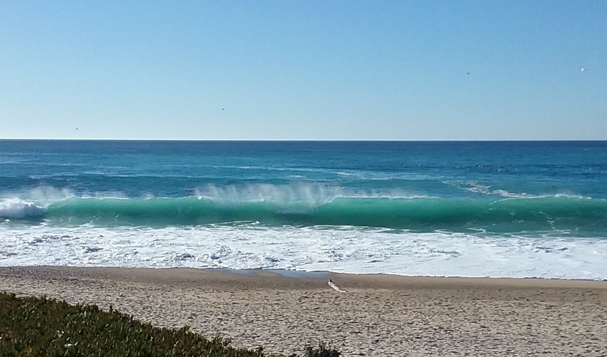 Tom Brighton (@tom772355) on Twitter photo 