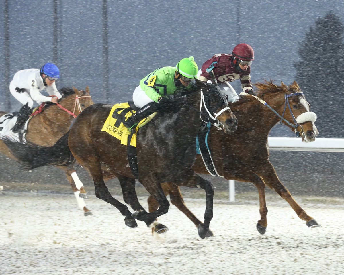 KyHBPA's tweet photo. As they say, horse racing is definitely not a game for anyone wearing short pants! Shoutout to our horsemen, their employees, jockeys, gate crew, pony people - and horses - for going about their business tonight at @TurfwayPark. #truepros #winterracing @CoadyPhoto pix https://t.co/6V52LMuyca