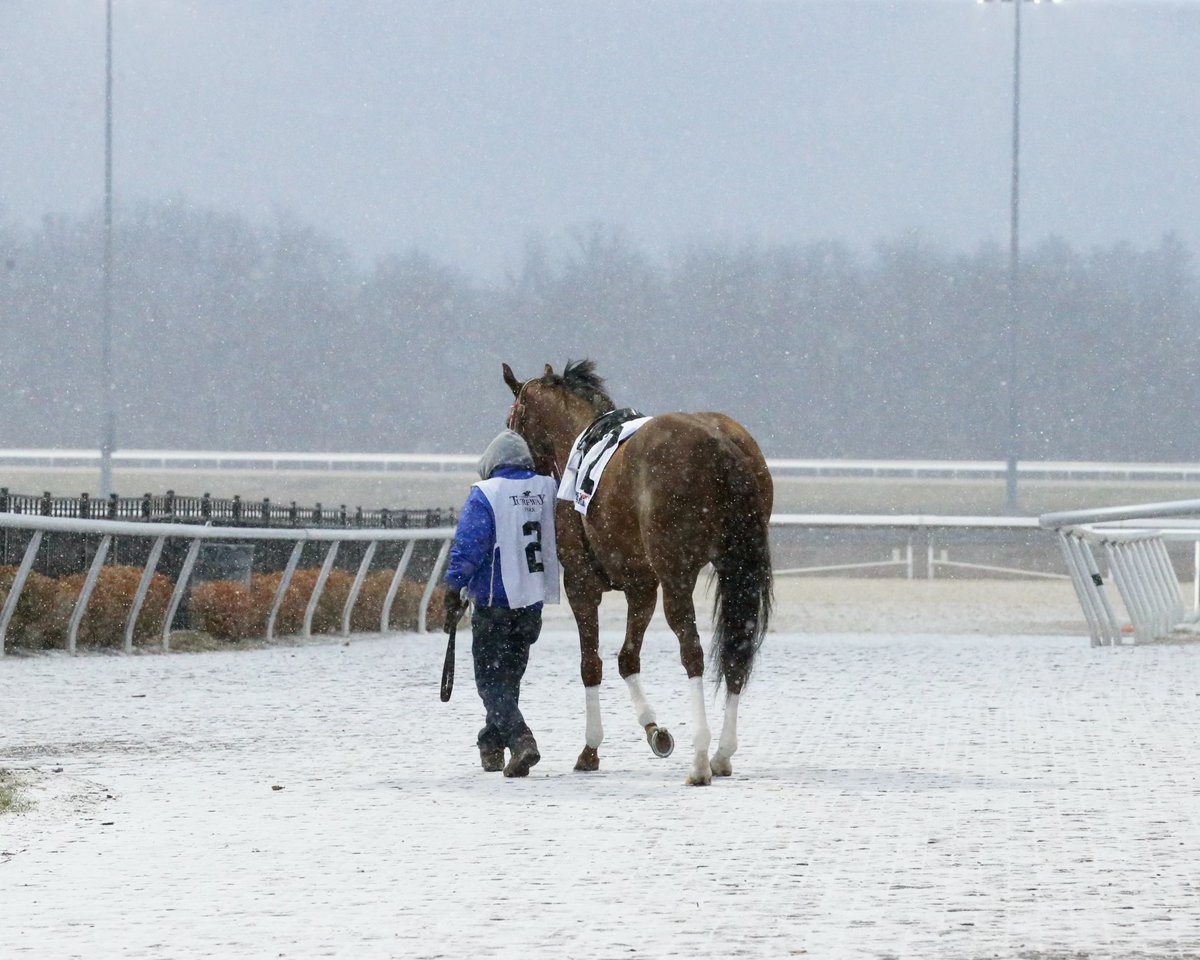 KyHBPA's tweet photo. As they say, horse racing is definitely not a game for anyone wearing short pants! Shoutout to our horsemen, their employees, jockeys, gate crew, pony people - and horses - for going about their business tonight at @TurfwayPark. #truepros #winterracing @CoadyPhoto pix https://t.co/6V52LMuyca