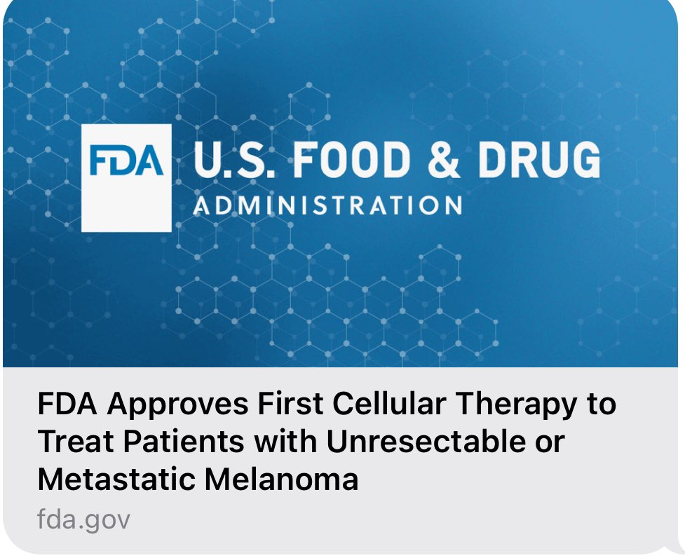 Bernard A Fox tweet media