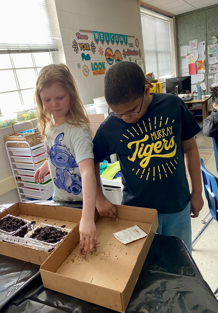 LindsayKoebbe's tweet photo. The butterfly weed we planted for MES’s garden will also add authenticity to our plant study in 4th! Thanks, Dr. Shultz, for giving us an avenue to help the monarchs and a reason to get our hands dirty on a Friday afternoon!#MurraySchools #morethanagarden #morethanadegree https://t.co/hcsPD8wA46