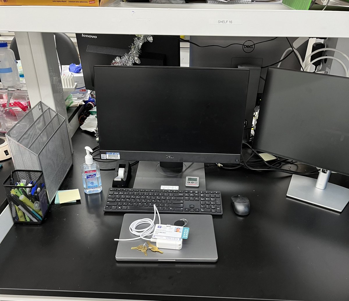 swtlai's tweet photo. It was so bittersweet to clean out my desk and lab bench last week 🥹🥲 I spent many early mornings and late nights here having breakthroughs and breakdowns 🫠 Thanks @sshuck55 lab for being my lab home and family for the last few years!! 👋🏻 https://t.co/oMHLGfjJgI