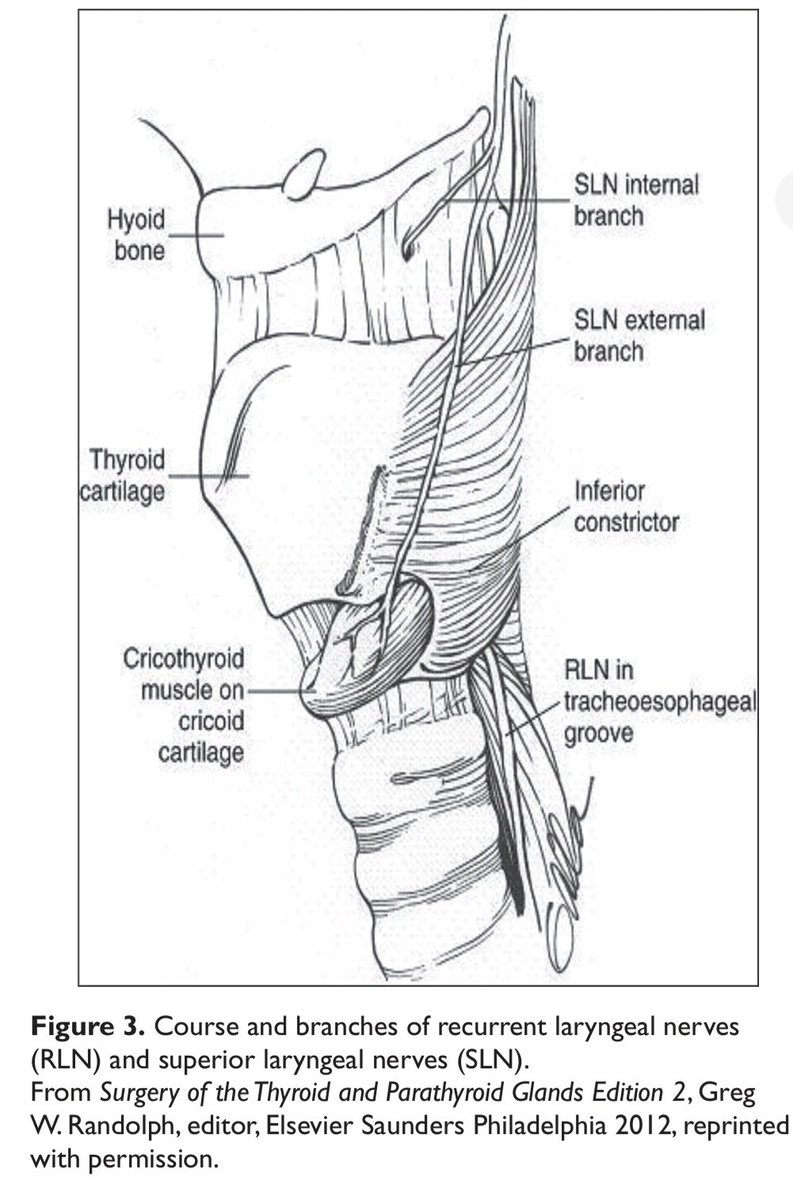 neck_group tweet picture