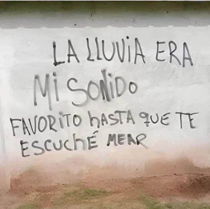 UngatoenScarif tweet media