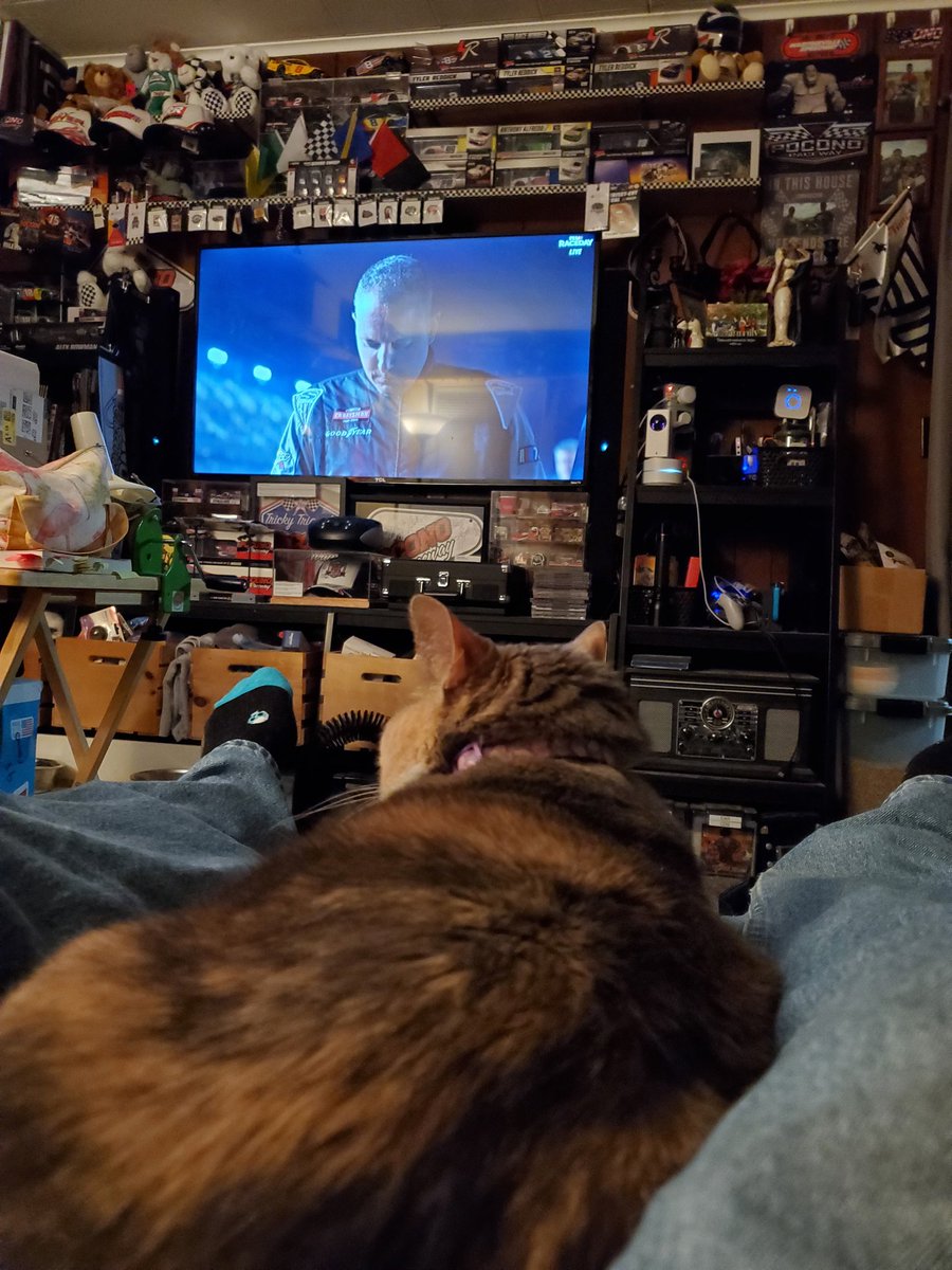 j_anselowitz's tweet photo. #nascarkitty has assumed/resumed vroom vroom watching position https://t.co/AvkbalMKWg