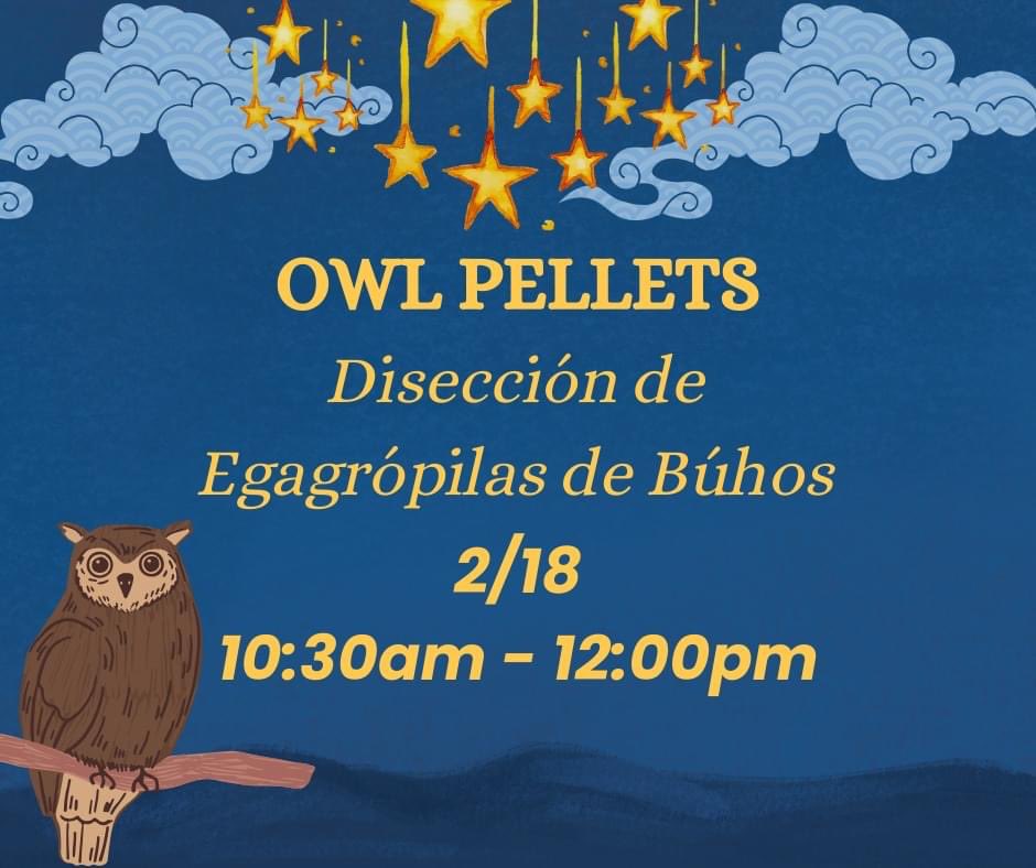 USFWSRMA_Alert's tweet photo. Come join the Generation Wild Northeast Metro Coalition Youth Council this Sunday to discover what owls eat by dissecting a real owl pellet! We will be meeting in the Visitor Center's discovery room.

#nationalwildliferefuge #natureprogram #owl https://t.co/vMF0rFqqaB