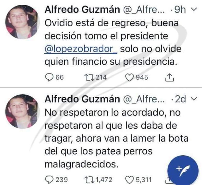 Carlos23Padilla's tweet photo. como olvidar aquellos tuits de los hijos del chapo...desde entonces el río ya sonaba     #NarcoPresidenteAMLO2 #AMLOPresidenteNarco https://t.co/NuSRnR1VBb