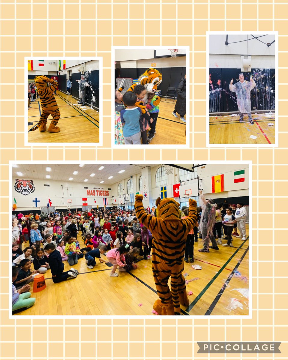 RobJanowitz_AP's tweet photo. Today was so amazing on so many levels! Our kiddos not only met our school reading goal, we doubled it with over 201,000 minutes read! The energy could be felt from miles away. @MAS_WP @MAS_PTA @wplainsschools @DrJosephRicca @WPCSD_ASI 
#MASnation #PARP  #principalschallenge https://t.co/fgnN7Rk72o