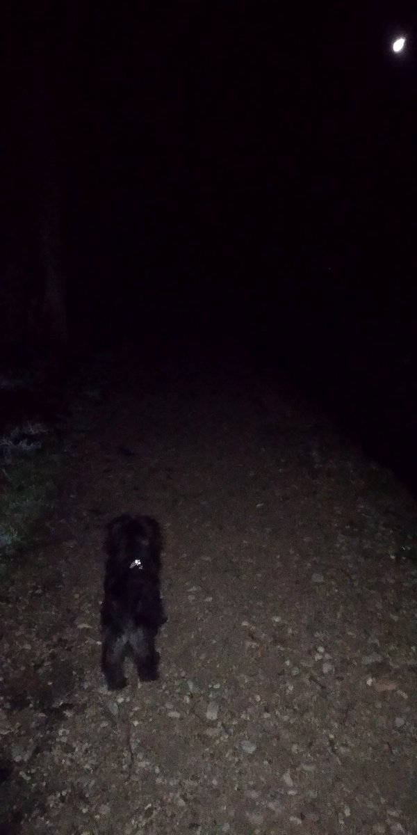 Altas horas, paseo entre las tinieblas con mi fiel amiga canina.
Que mejor compañía que la aterciopelada voz de <a href="/Snuff/">SNUFF</a> contándome cosas bonitas en voz baja. <a href="/NormalPodcast_/">Normal Podcast for Normal People</a>
go.ivoox.com/rf/43759144