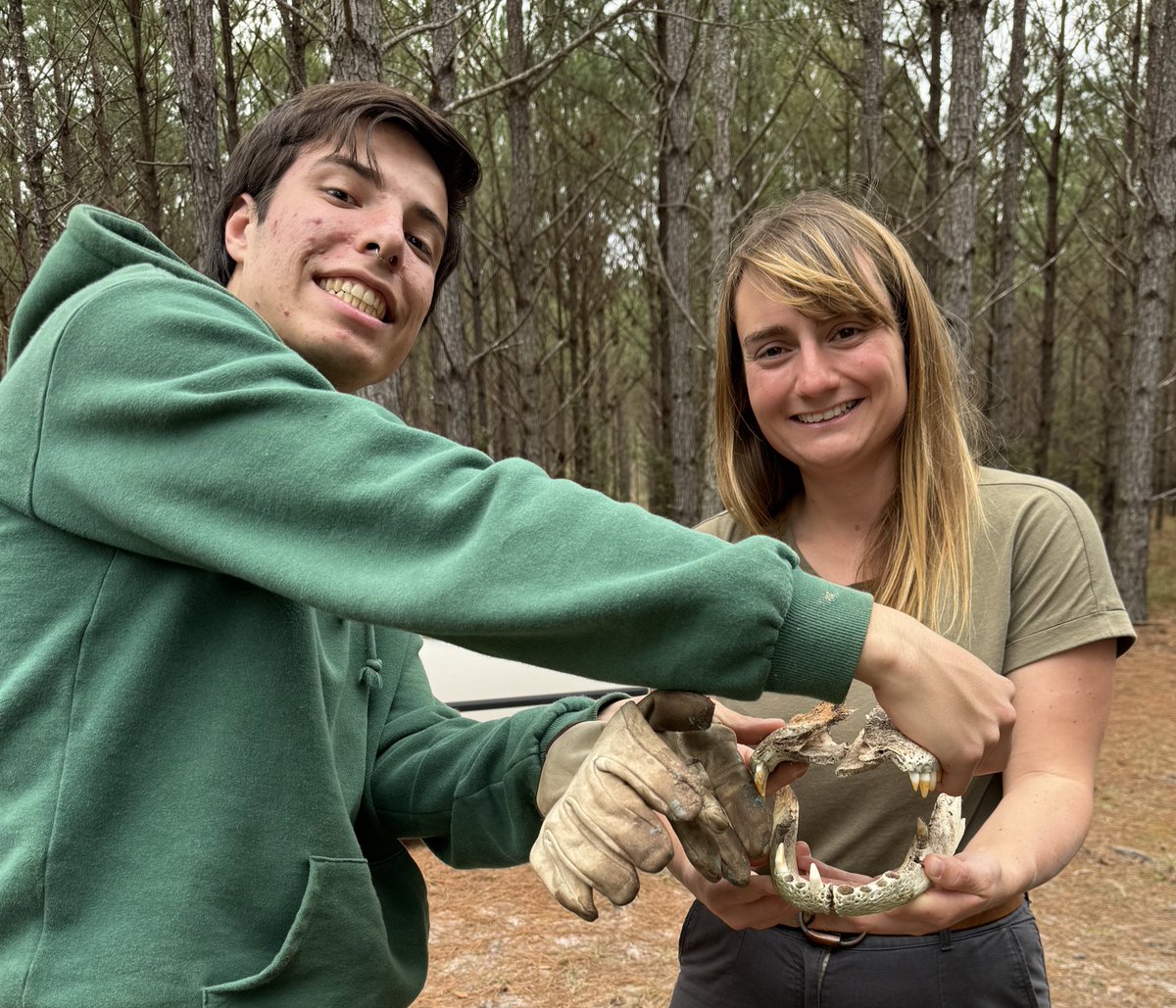 Dr. Marylou Mantova tweet media