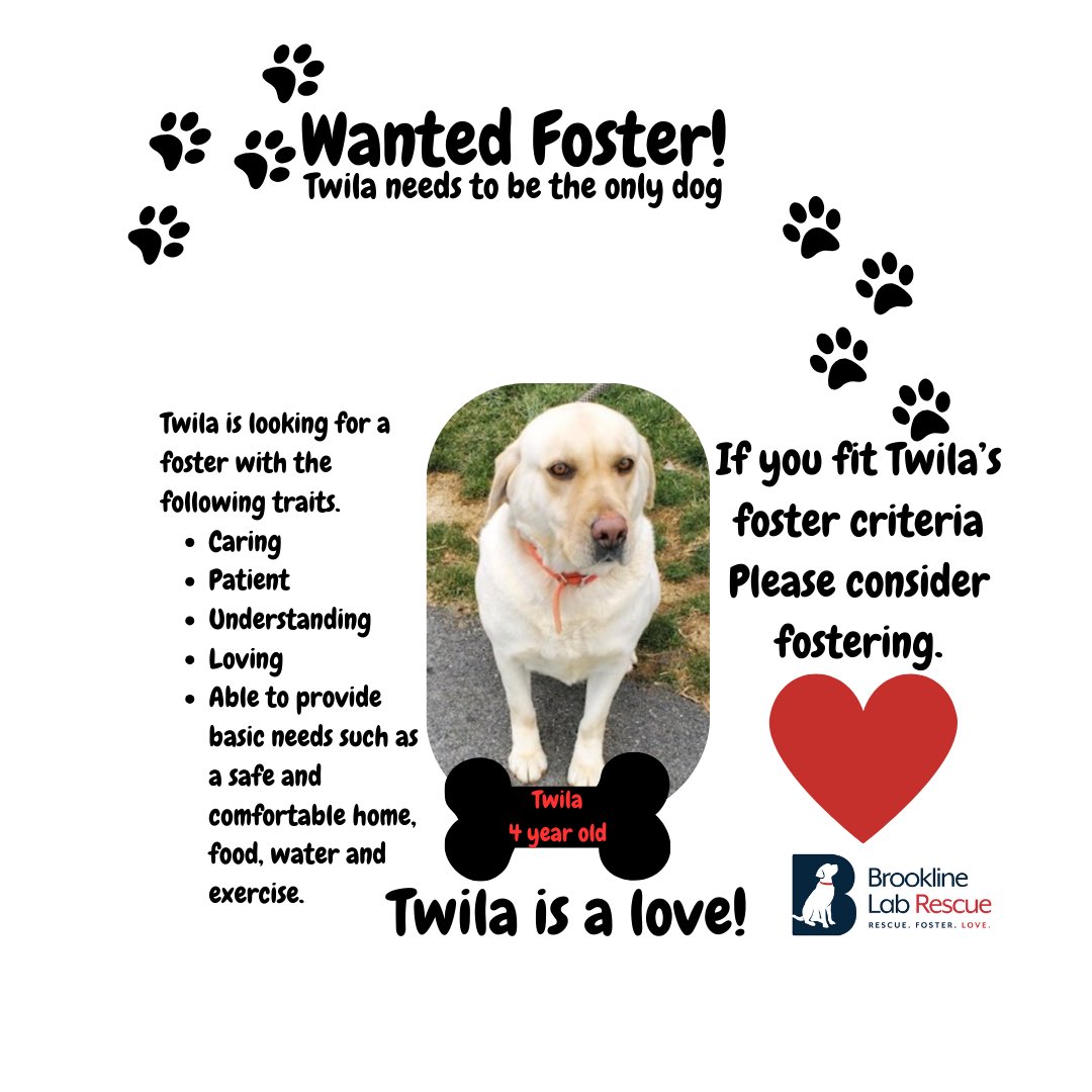 BrooklineLabs's tweet photo. #fosteringsaveslives https://t.co/mN5AB6OGsk