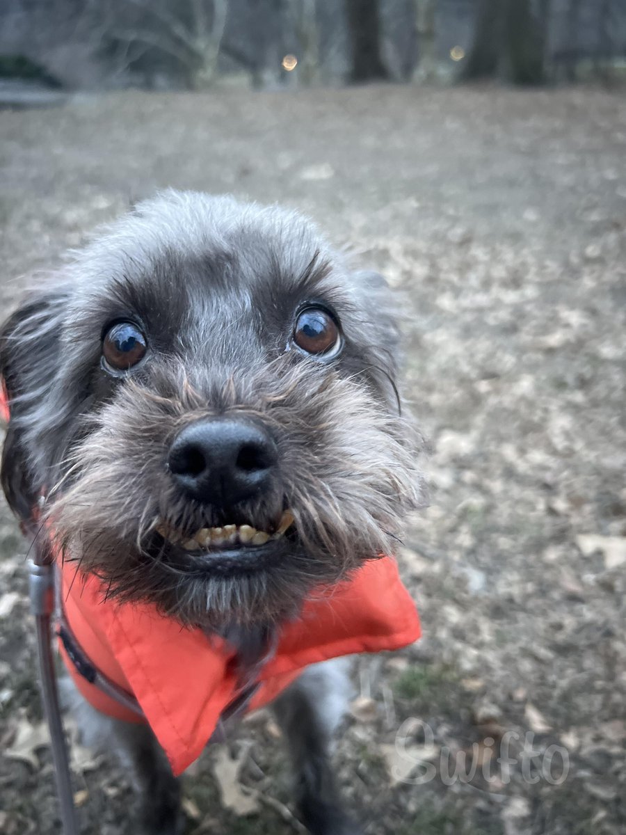 Tina Redwine tweet media