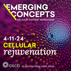 JUST ANNOUNCED! Birgit Schilling (@birgits61642917), Director of the Mass Spectrometry Technology Center, @BuckInstitute, added to roster of speakers for ASCB's Emerging Concepts: Cellular Rejuvenation virtual event being held April 11. Learn more: ascb.org/meetings-event…