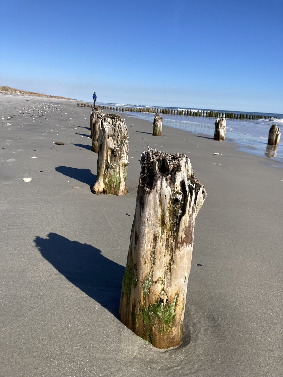 WheelAM6's tweet image. On a cold and windy day, with more snow predicted to fall overnight, I dream of a quiet day down the shore.