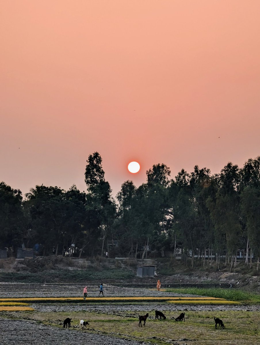 iam_I_K_R's tweet photo. The sun is setting in that village too. 

Random shot while visiting a rural area. 

#GooglePixel8pro 
#ShotwithPixel 
#withPixel https://t.co/Bmz1U6ZHin