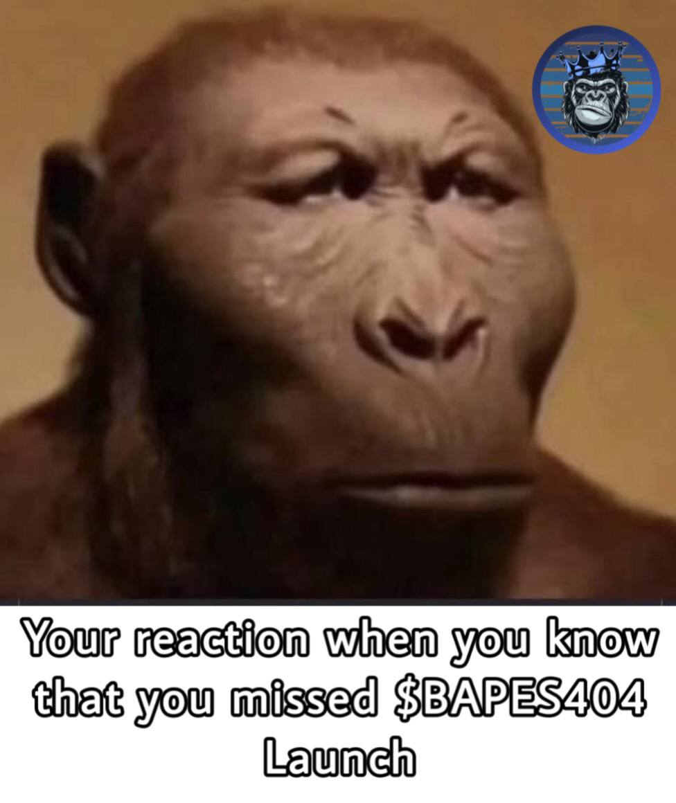 Based Apes 404+ (BASE) tweet media