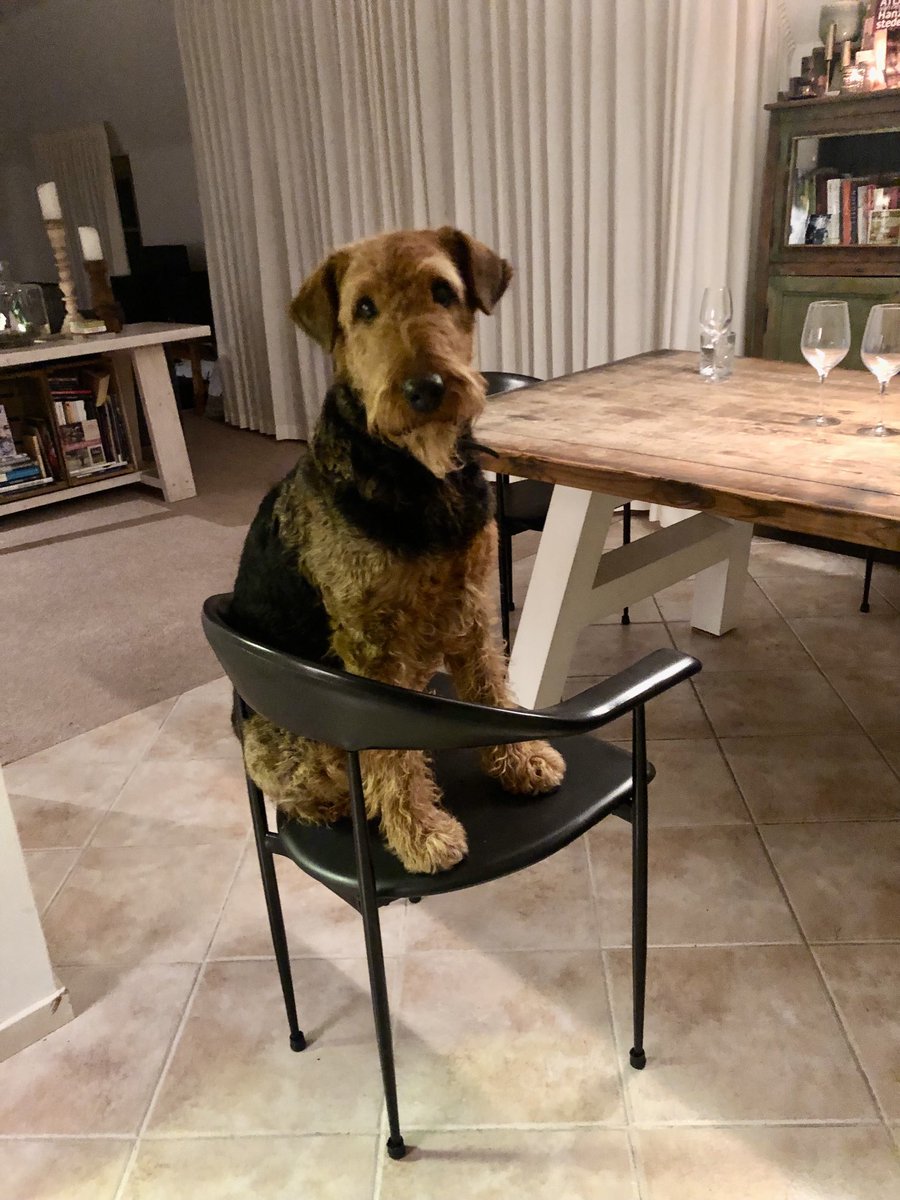 Monique Schuttenbeld tweet media