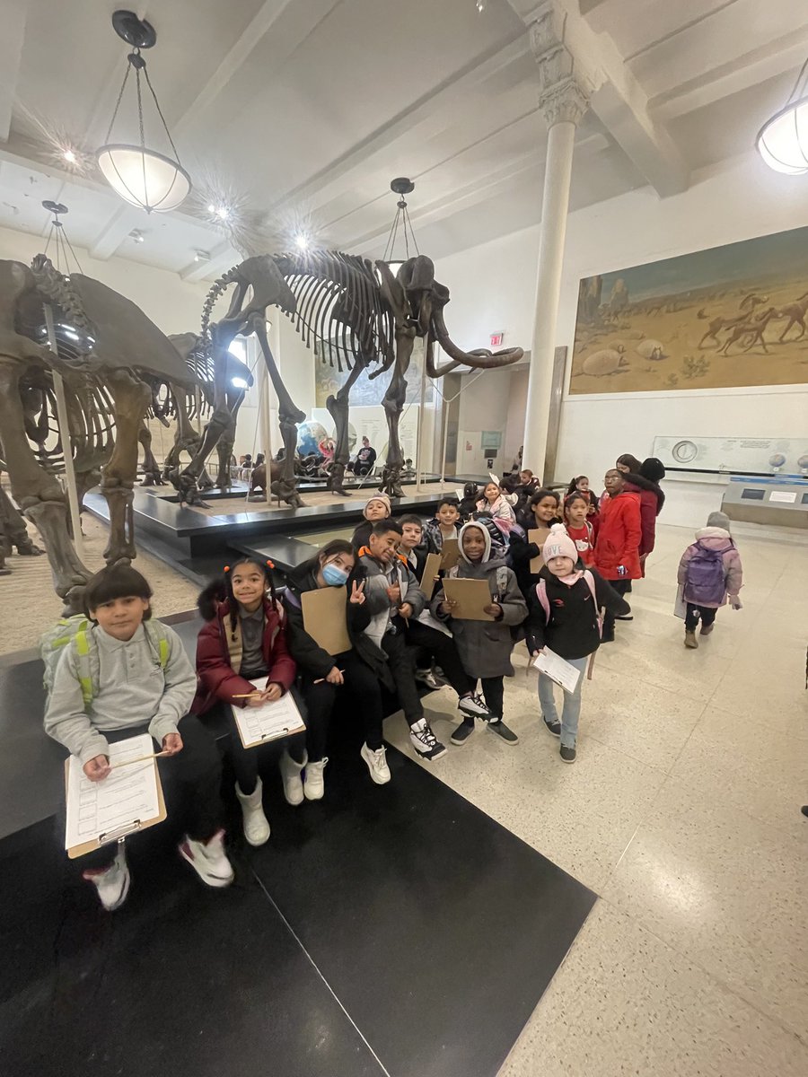 Community School 111Q (@cs111q) on Twitter photo Such an enjoyable trip to the Museum of Natural History! 🚌 <a href="/AMNH/">American Museum of Natural History</a>
<a href="/NYCSchools/">NYC Public Schools</a> <a href="/nycdistrict30/">District 30</a>
#JewelofLongIslandCity #schooltrip #cs111q #wherelearninghasnolimits #nycdoe #district30 #longislandcity #longislandcityqueens Such an enjoyable trip to the Museum of Natural History! 🚌 <a href="/AMNH/">American Museum of Natural History</a>
<a href="/NYCSchools/">NYC Public Schools</a> <a href="/nycdistrict30/">District 30</a>
#JewelofLongIslandCity #schooltrip #cs111q #wherelearninghasnolimits #nycdoe #district30 #longislandcity #longislandcityqueens