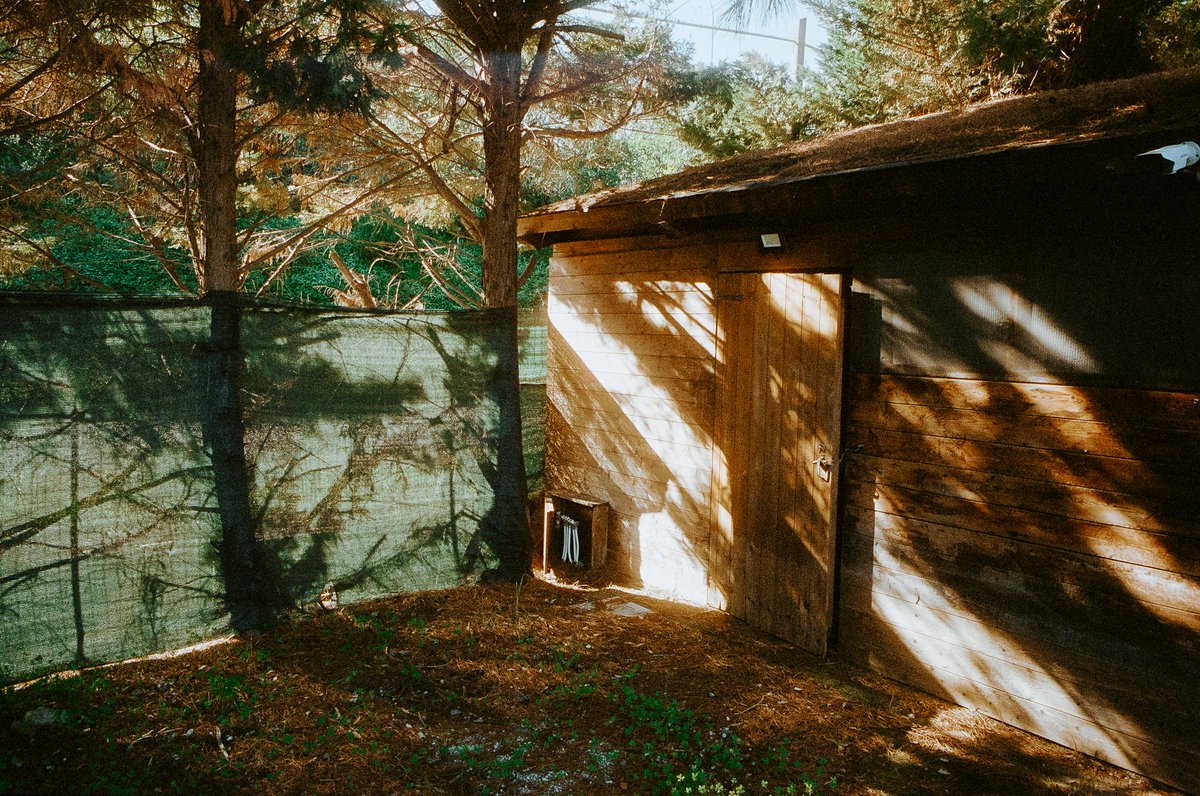 takeuchifilm's tweet photo. Lights On 35mm film https://t.co/NFzkGjey5G