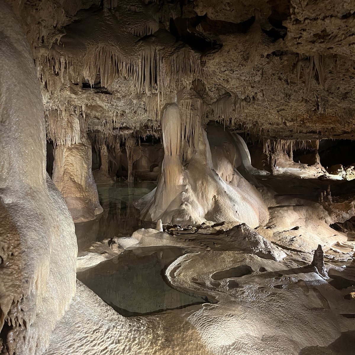 NormanSimsCouns's tweet photo. Our Norman-Sims PALS had so much fun exploring the Innerspace Caverns today! Well deserved for all their leadership on our campus! 👏👏👏 https://t.co/0xB1zOGLq6