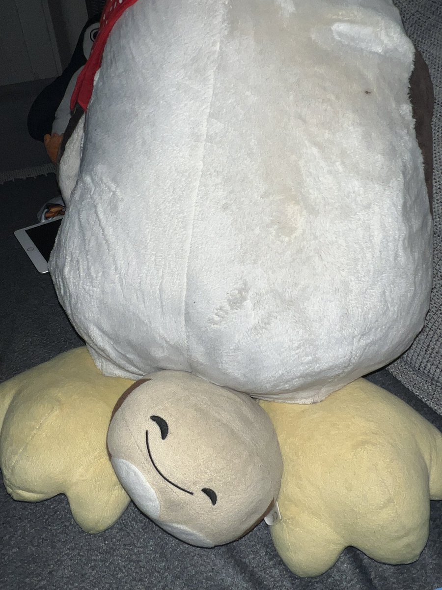PlutoDerPlanet's tweet photo. @DinosAFriends21 Pluto ich empfehle Pinguin wartschler https://t.co/XhgA2UYytt