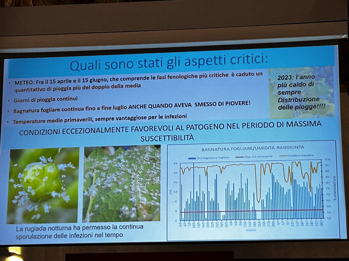 Aipp1992's tweet photo. Laura #Mugnai porta al #convegno #AISSA un contributo sulla #protezione delle #piante che richiede #innovazione e #sostenibilità per assecondare le sfide del #cambiamento #climatico, in rappresentanza delle società scientifiche #AIPP, #SEI-sEa, #SIN e #SIPaV https://t.co/XnQxT0KSxI