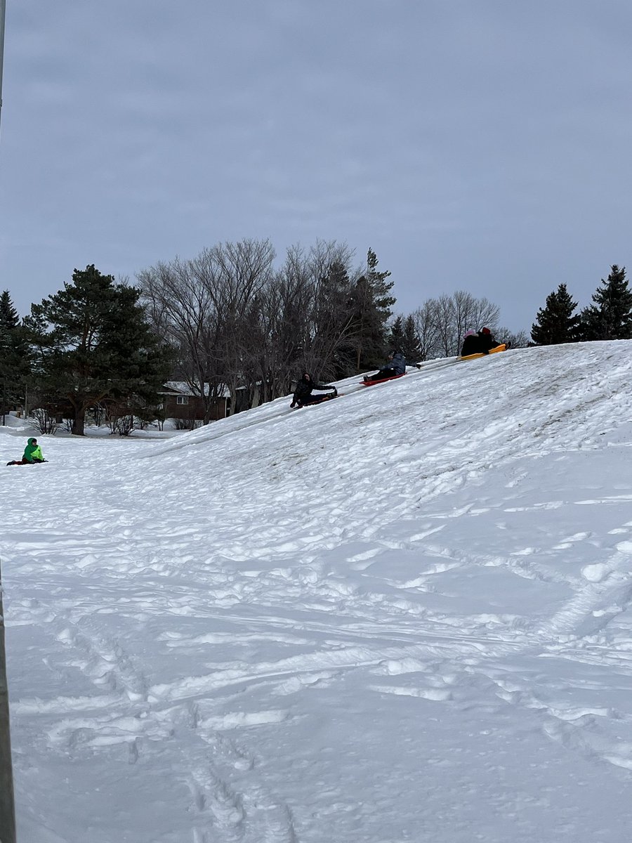 Kristen Nagy tweet media