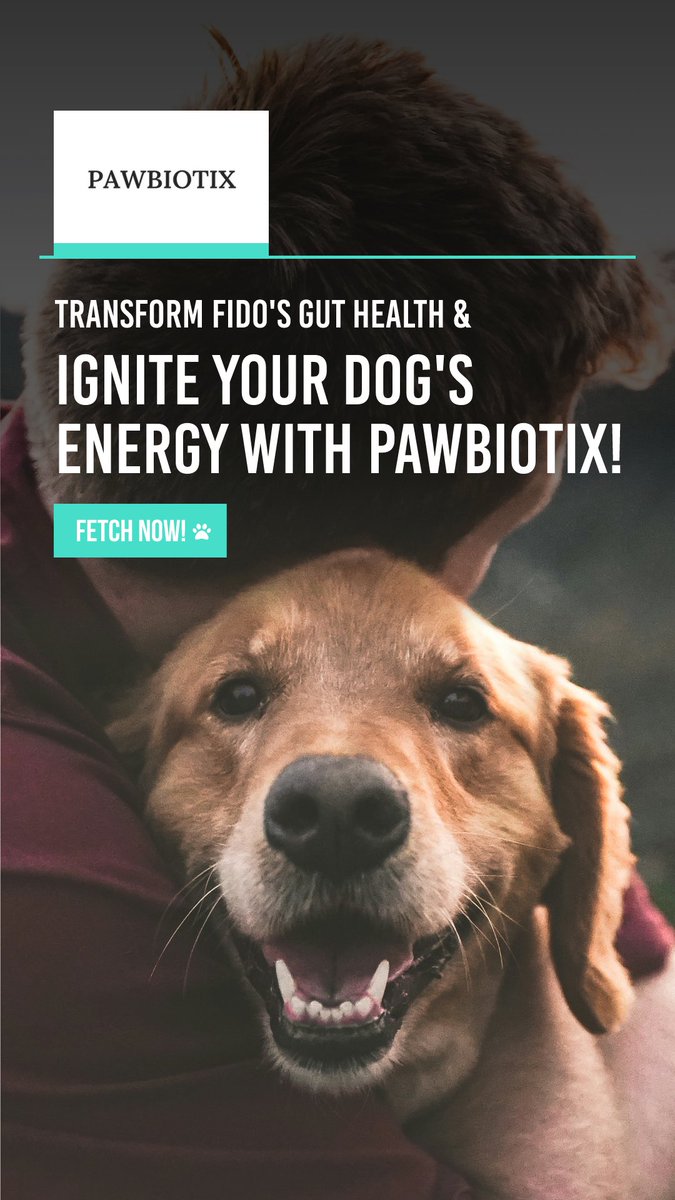 Support Your Dog's Health - Improve digestion, boost immunity, and support vitality. Get Pawbiotix now!
#doghealth #doglover #dogcare #healthydog #doglove #doghealthtips #dogoftheday #doghealthcare #dogslife #mansbestfriend

magnetsurge.com/pawbiotix