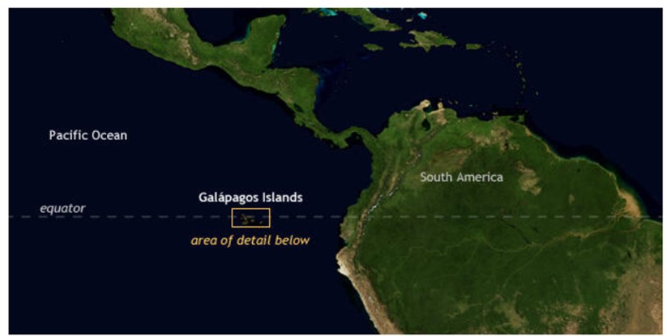 El Niño is a natural event that is based in the Pacific Ocean and happens every two to seven years. The Galapagos Islands are located on the Equator, and it is particularly affected by El Niño. 🧵(1/4) #DarwinDay #DarwinDay2024