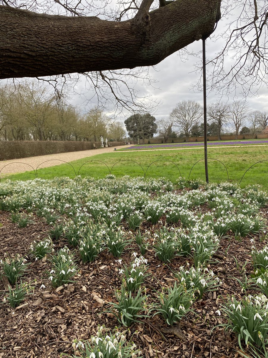 LittleLegoMe's tweet photo. Fabulous #LittleAdventure with Big K and her friend Sheila to @HamHouseNT today.  Beautiful crocus and snowdrops in the garden and loved the table ‘legs’ in the dairy! https://t.co/STnnFIN6jW