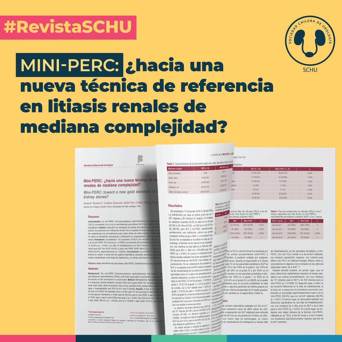 Otro de los cinco artículos originales de la última edición de la #RevistaSCHU 👉Mini-PERC: ¿hacia una nueva técnica de referencia en litiasis renales de mediana complejidad?, cuyo autor correspondiente es el Dr. Joaquín Gurovich. Artículo completo acá👇revistachilenadeurologia.com/frame_esp.php?…