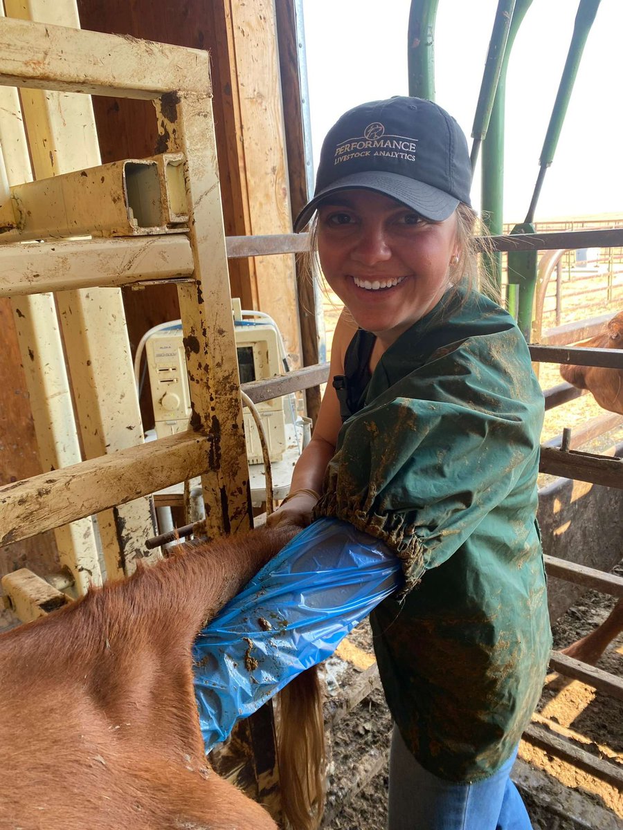 TrummJoe's tweet photo. Our daughter Emily has been working diligently on her goal to become a large animal vet. She just learned that she has been accepted into the college of vet med at ISU. 
What is it that makes your daughter smile? https://t.co/0nGv7dPYGu