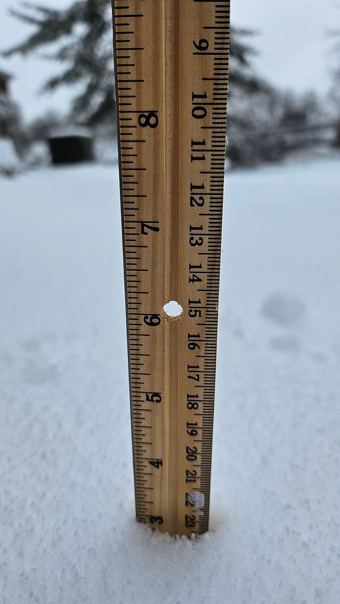 AshPoling's tweet photo. Updated snowfall in south st louis county/Mehlville. 3 inches so far measured at 2:35pm.  Still have some more to go! #stlwx #snow https://t.co/yHhtxGfG6V