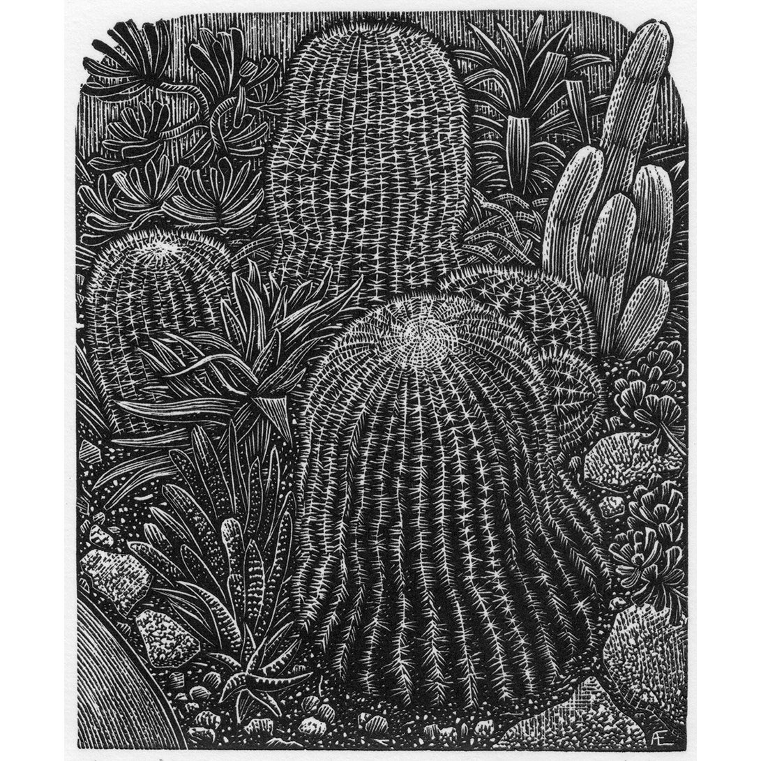 Andy English - The Arid House, from the 86th SWE Annual Exhibition, now at Bankside Gallery, London until 25th February. Engravings available also from our website. societyofwoodengravers.co.uk #printmaking #woodengraving