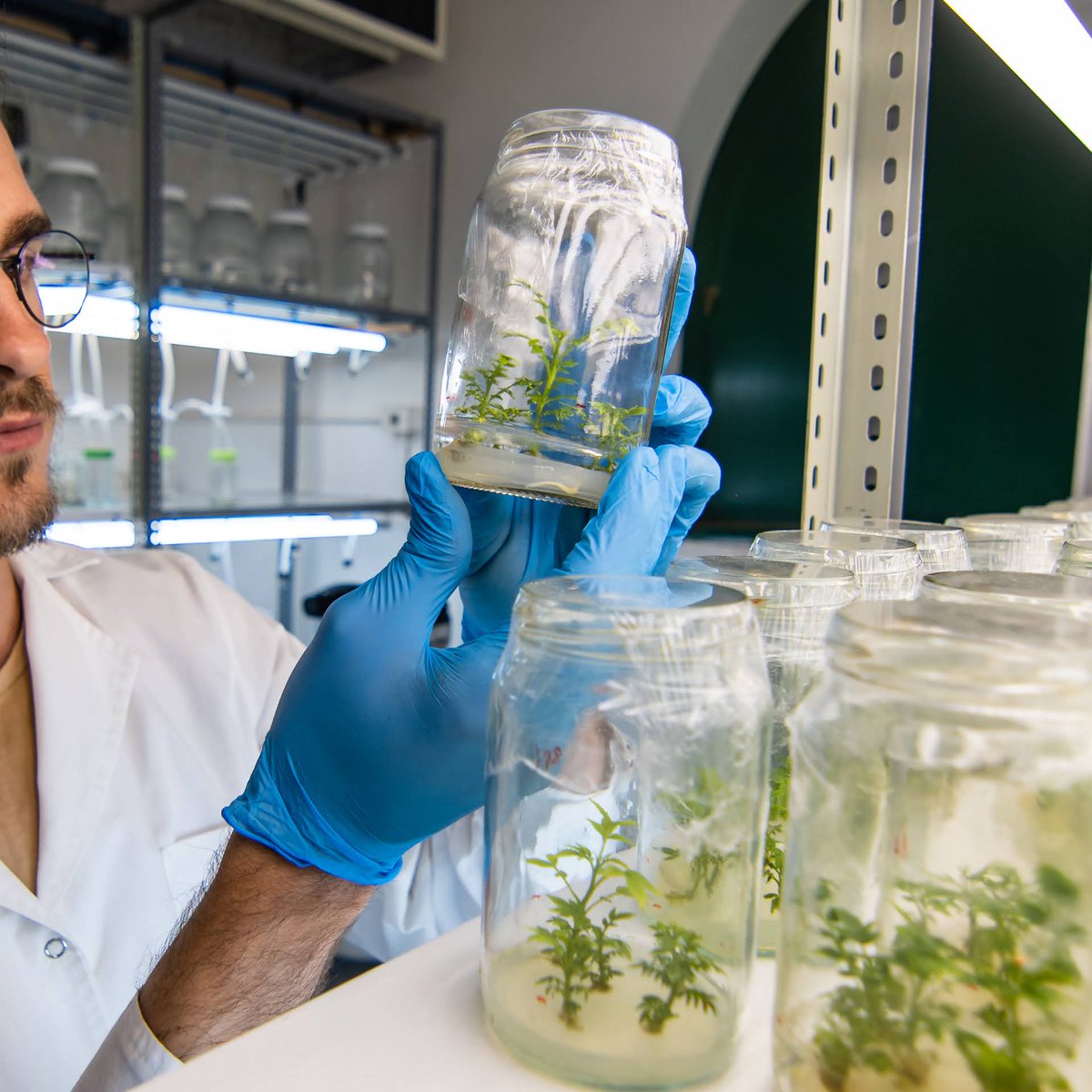 CEPROCOR tweet media