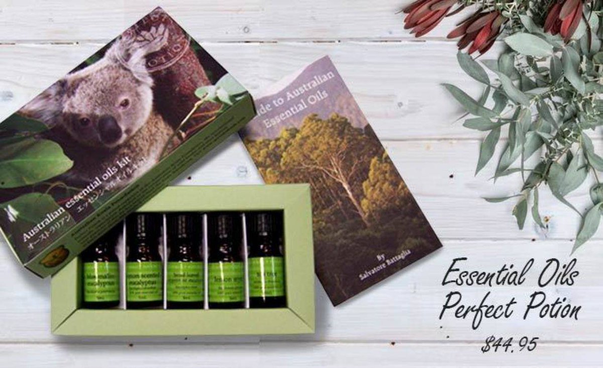 🌿 Get the Australian Essentail Oils Kit, create your own unique blends with native Australian essential oils and support the #Koala: savethekoala.com/shop/products/…