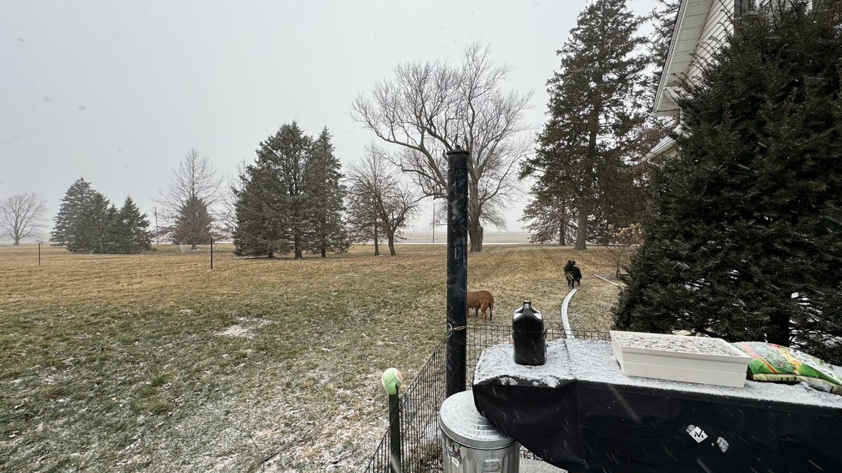 BoilerPaulie's tweet photo. What a difference one day can make 🐾 ❄️ https://t.co/iQsA8FzJPw