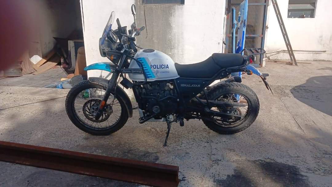 Traductor 🥹💕💐 tweet media