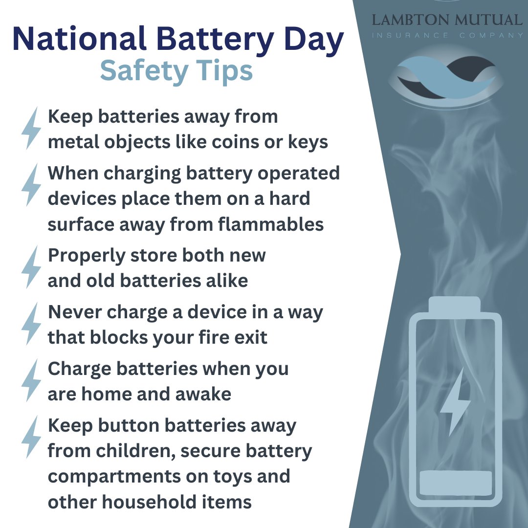 #NationalBatteryDay #LossPrevention #batterysafety