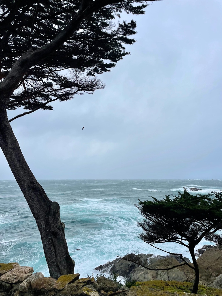 scholartrip's tweet photo. a nature lover's paradise! norcal is the place to be if you're looking for a budget-friendly spring break destination with loads of city-life activities AND endless hiking trails to spectacular views ⛰️🌈🦦 visit the link in our bio to start planning your SB '24 trip now! https://t.co/QrFfAkBFI3
