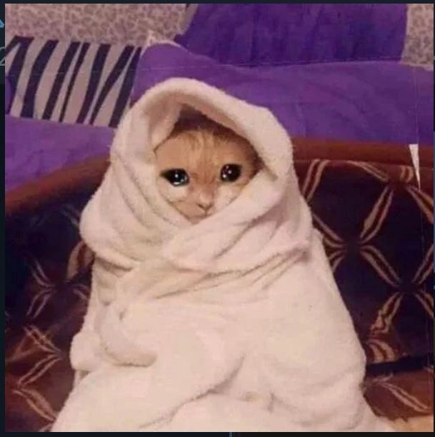 _.missar110 tweet media