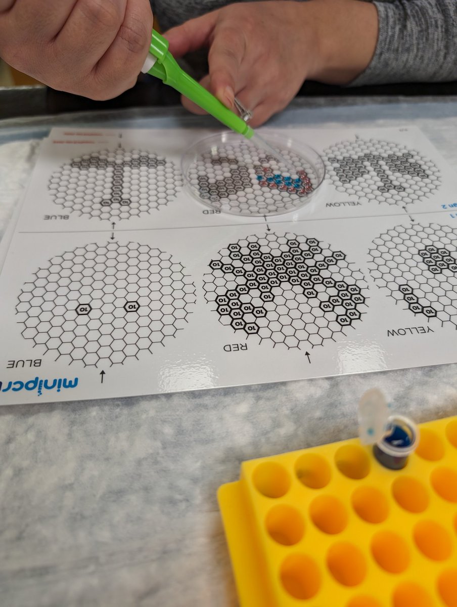 And that's a wrap for #LOYOL2024 <a href="/TCDSB/">Toronto Catholic District School Board</a>! We made some pipette art and solved the kitten paternity question, and had ample time to dive into <a href="/LabXchange/">LabXchange</a>!