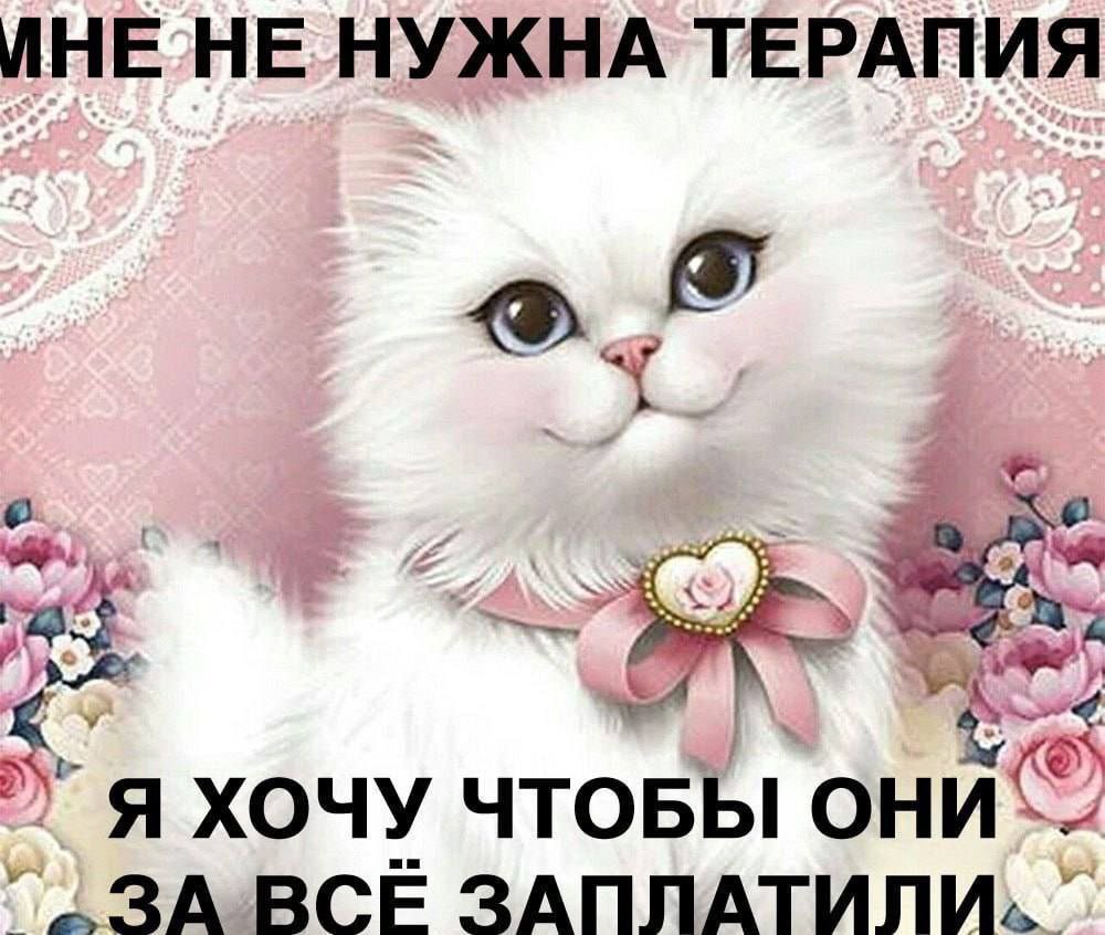 Велик tweet media