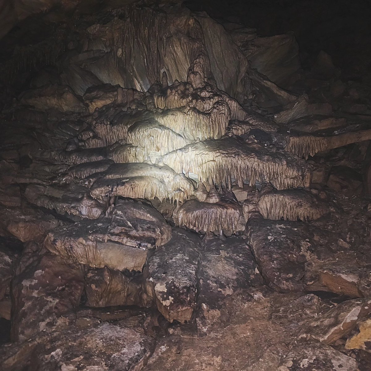 DCorn42069's tweet photo. Check out these awesome photos from our cave adventure last weekend! We had a blast exploring the Cave, where we saw amazing formations, fossils, and treasures. Like and share if you’re into caving! 🙌 #caving #cave #cavephotography #caveexploring #speleo #speleology #caves #cave https://t.co/yW9fK0Kavo