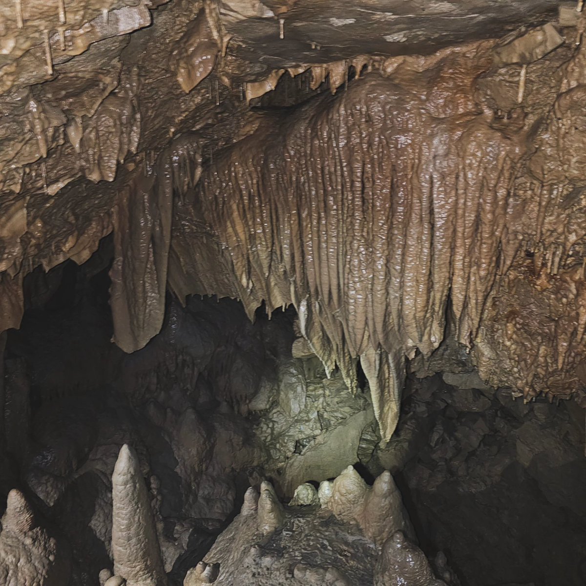DCorn42069's tweet photo. Check out these awesome photos from our cave adventure last weekend! We had a blast exploring the Cave, where we saw amazing formations, fossils, and treasures. Like and share if you’re into caving! 🙌 #caving #cave #cavephotography #caveexploring #speleo #speleology #caves #cave https://t.co/yW9fK0Kavo