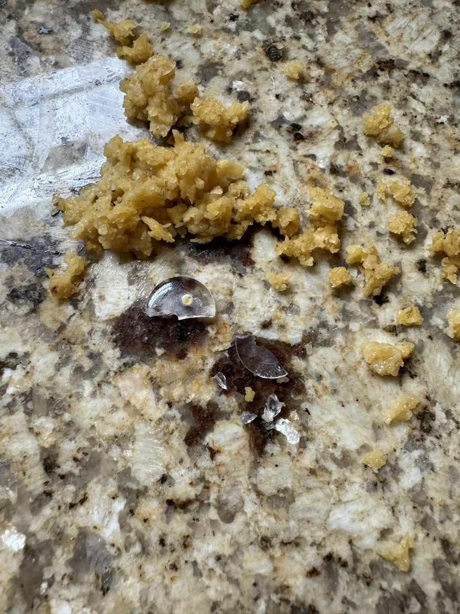 Silky Johnson tweet media