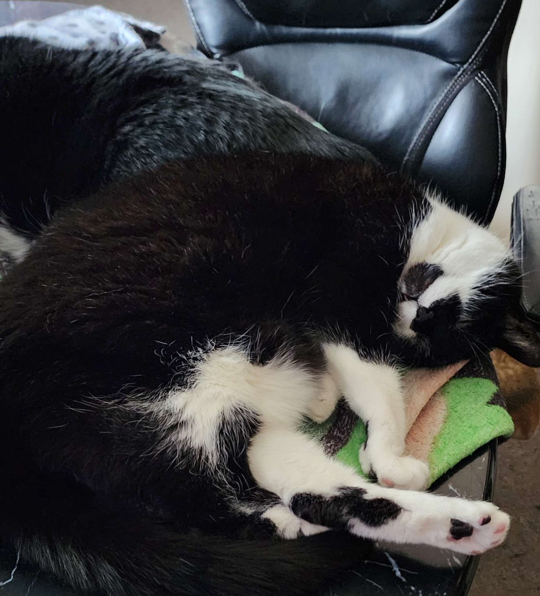 something cute for the timeline